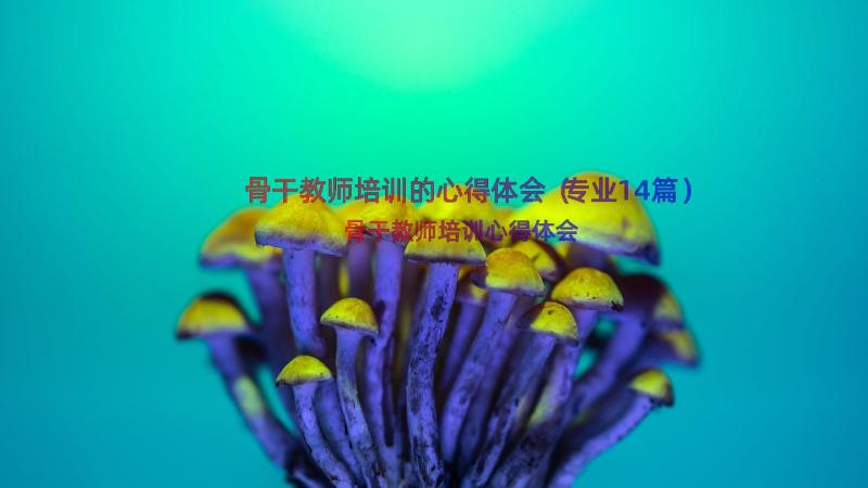 骨干教师培训的心得体会（专业14篇）