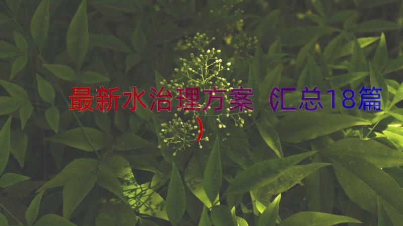 最新水治理方案（汇总18篇）