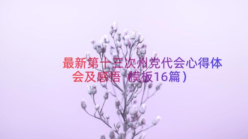 最新第十三次州党代会心得体会及感悟（模板16篇）