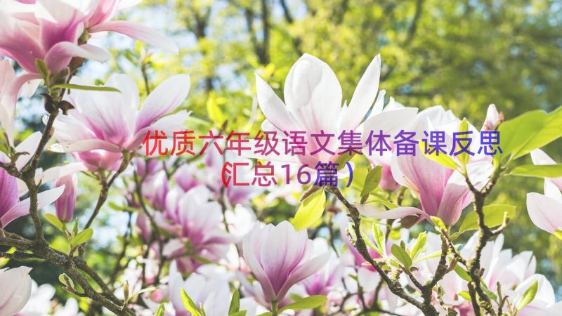 优质六年级语文集体备课反思（汇总16篇）