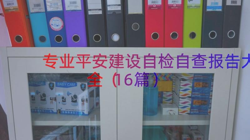 专业平安建设自检自查报告大全（16篇）