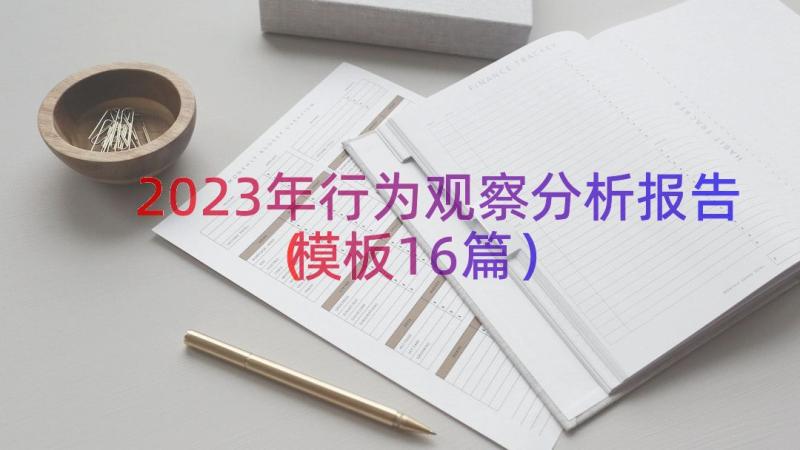 2023年行为观察分析报告（模板16篇）