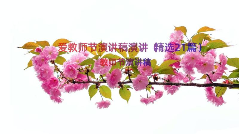 爱教师节演讲稿演讲（精选21篇）