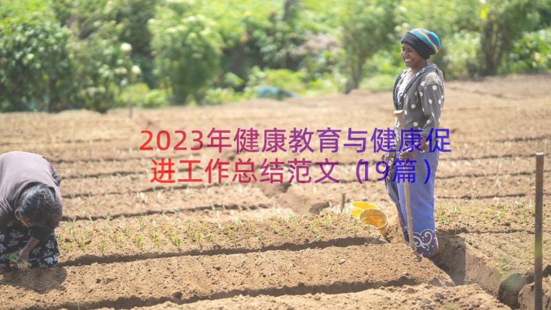 2023年健康教育与健康促进工作总结范文（19篇）