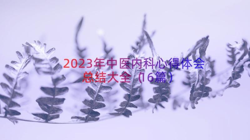 2023年中医内科心得体会总结大全（16篇）