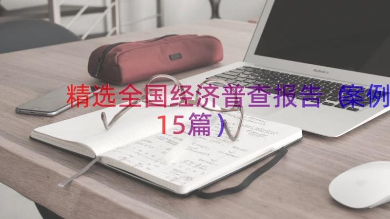 精选全国经济普查报告（案例15篇）