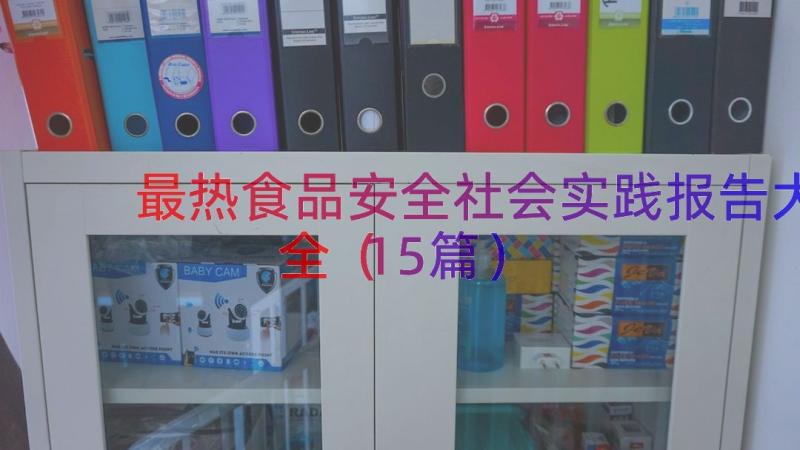 最热食品安全社会实践报告大全（15篇）