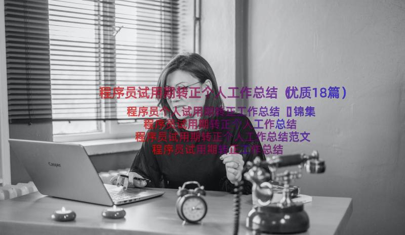 程序员试用期转正个人工作总结（优质18篇）