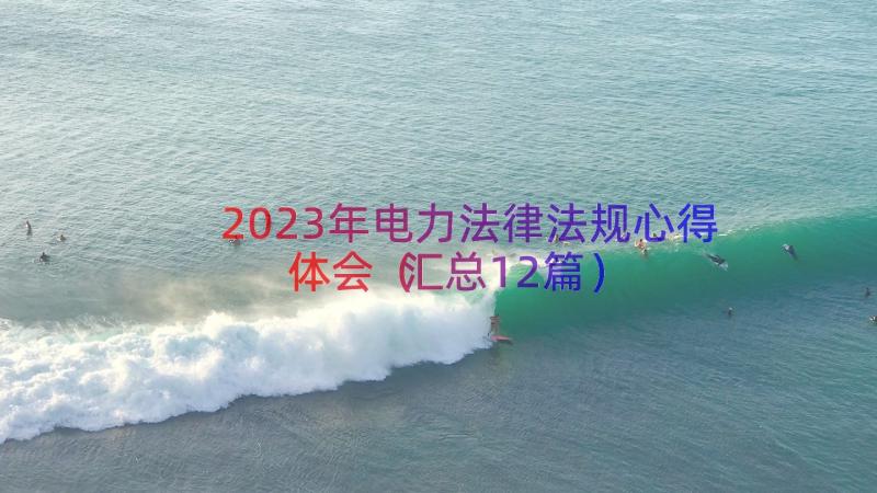 2023年电力法律法规心得体会（汇总12篇）