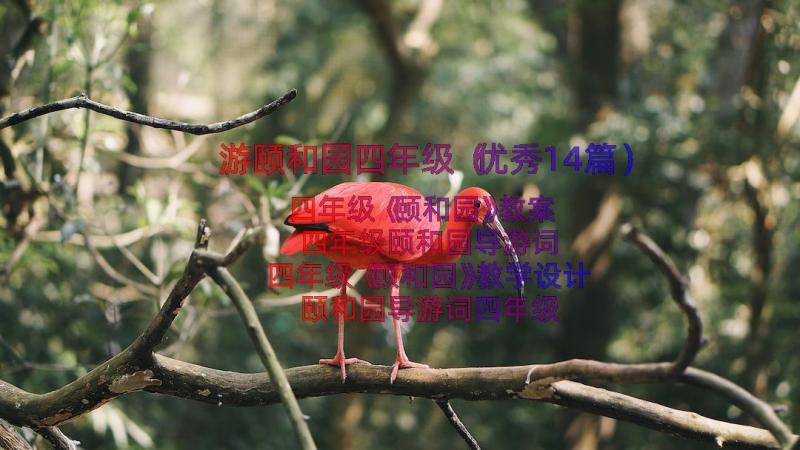 游颐和园四年级（优秀14篇）