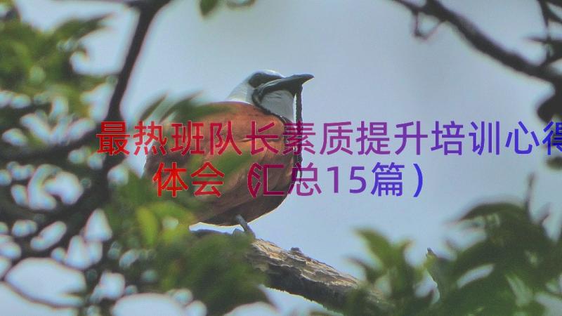 最热班队长素质提升培训心得体会（汇总15篇）