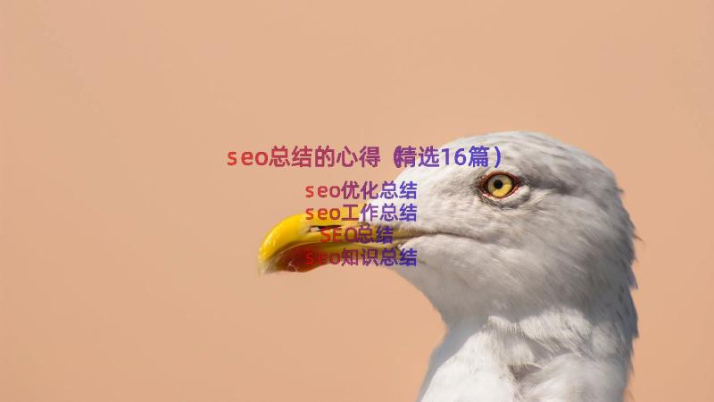 seo总结的心得（精选16篇）