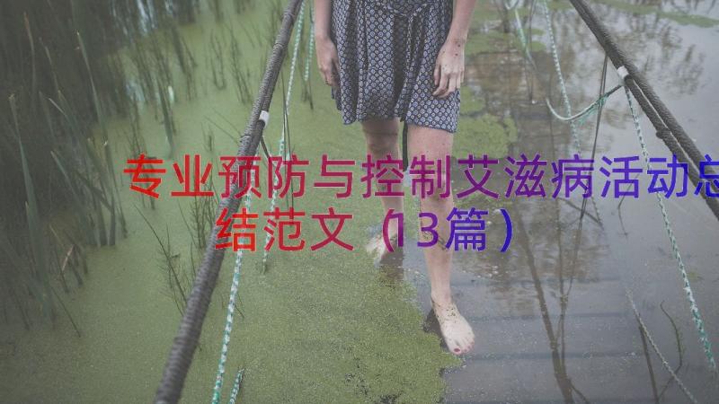 专业预防与控制艾滋病活动总结范文（13篇）