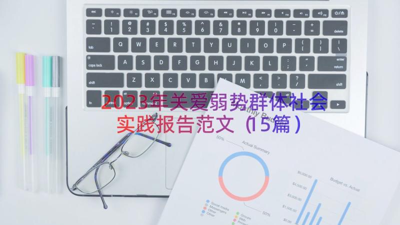 2023年关爱弱势群体社会实践报告范文（15篇）