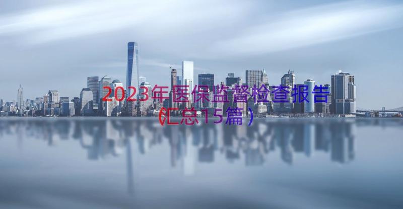 2023年医保监督检查报告（汇总15篇）