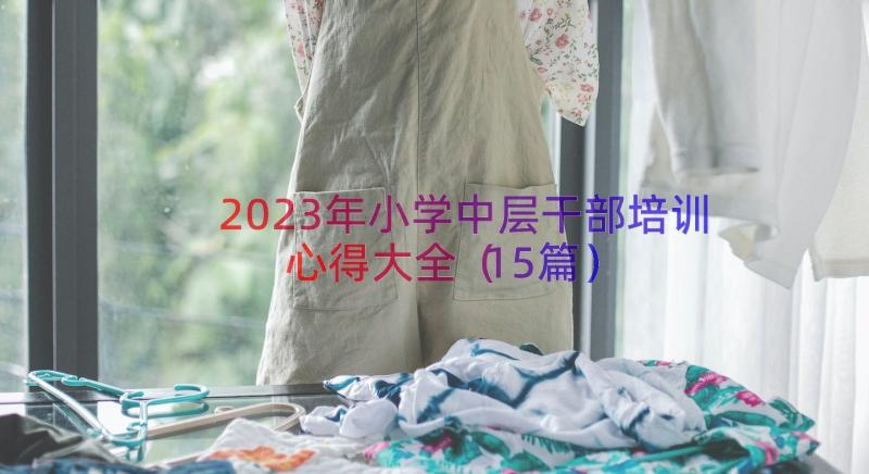 2023年小学中层干部培训心得大全（15篇）