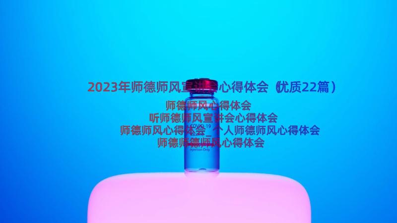 2023年师德师风宣讲会心得体会（优质22篇）