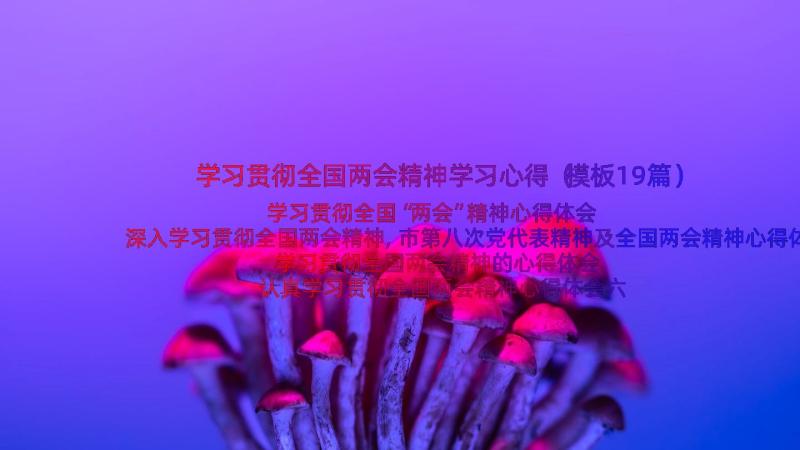 学习贯彻全国两会精神学习心得（模板19篇）