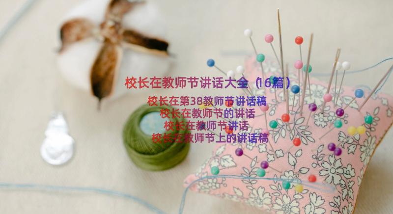 校长在教师节讲话大全（16篇）