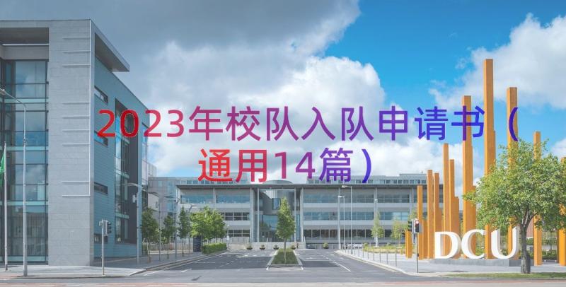 2023年校队入队申请书（通用14篇）