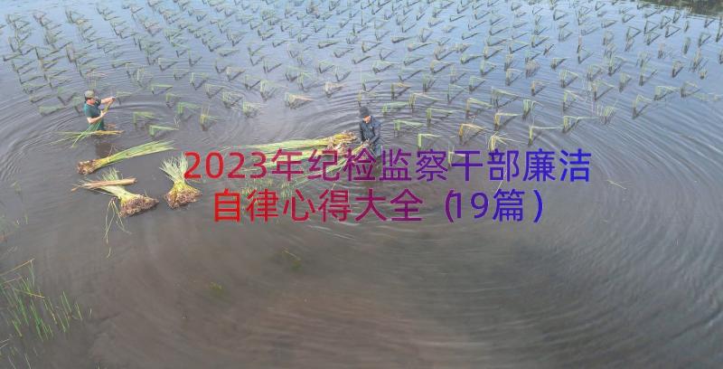 2023年纪检监察干部廉洁自律心得大全（19篇）