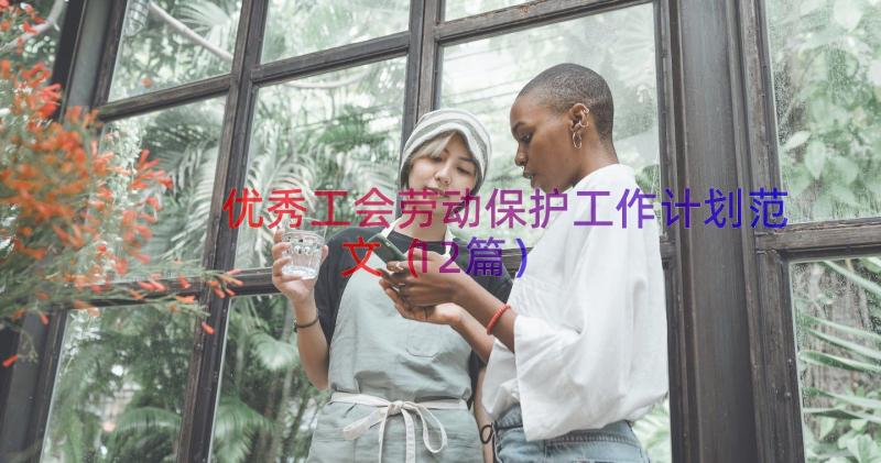 优秀工会劳动保护工作计划范文（12篇）