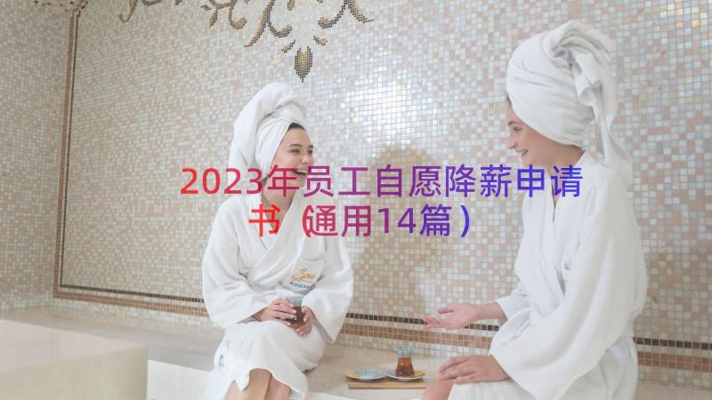 2023年员工自愿降薪申请书（通用14篇）