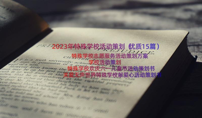 2023年特殊学校活动策划（优质15篇）