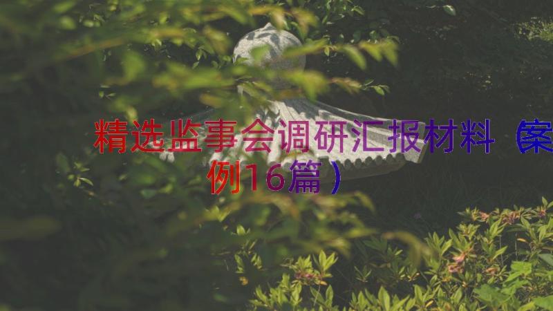 精选监事会调研汇报材料（案例16篇）