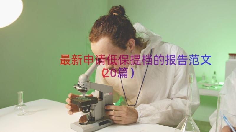 最新申请低保提档的报告范文（20篇）