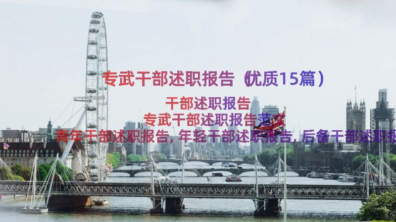 专武干部述职报告（优质15篇）