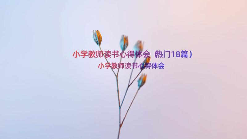 小学教师读书心得体会（热门18篇）