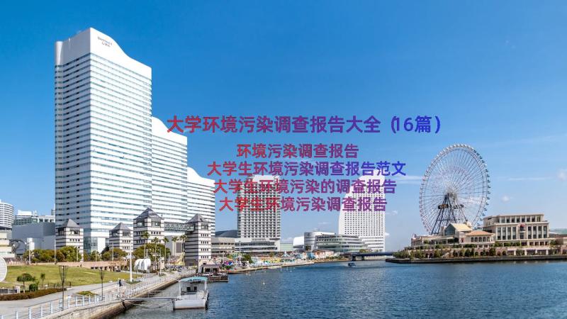 大学环境污染调查报告大全（16篇）