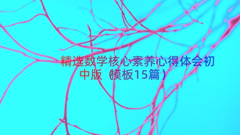 精选数学核心素养心得体会初中版（模板15篇）