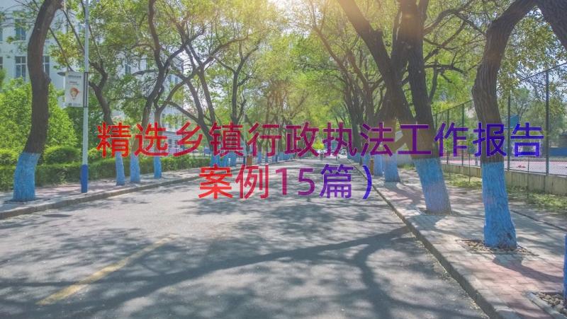 精选乡镇行政执法工作报告（案例15篇）