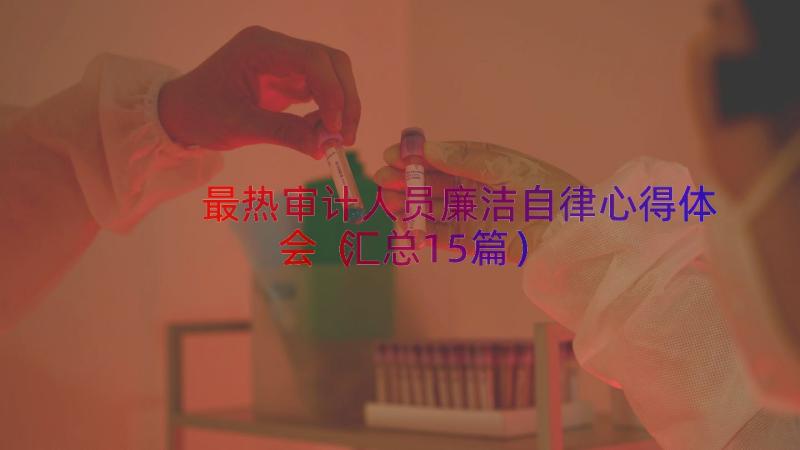 最热审计人员廉洁自律心得体会（汇总15篇）