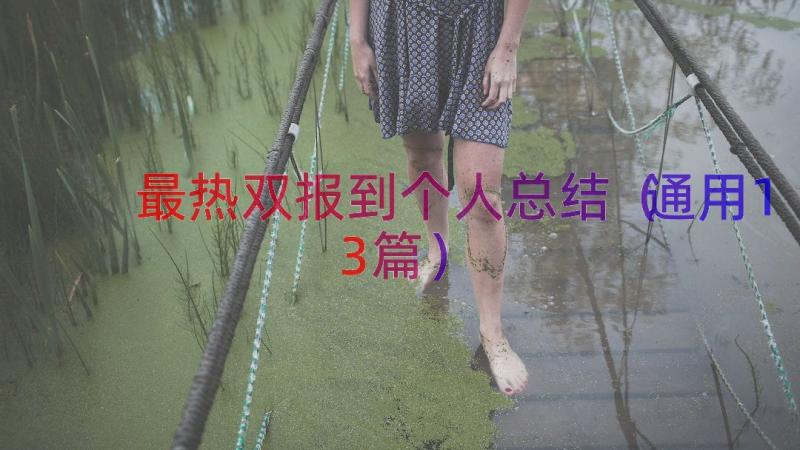 最热双报到个人总结（通用13篇）