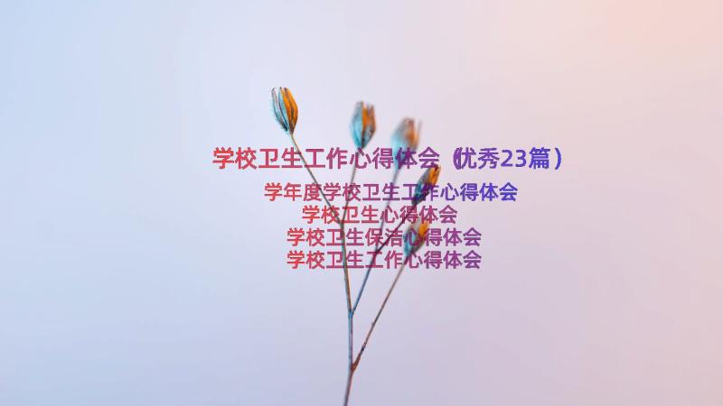 学校卫生工作心得体会（优秀23篇）