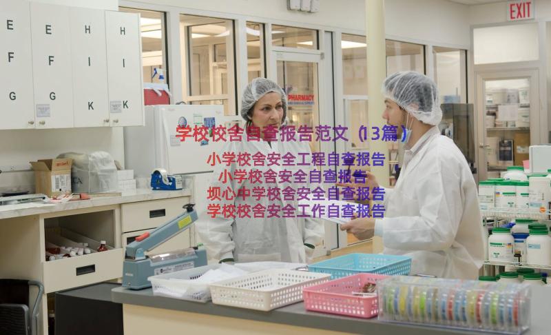 学校校舍自查报告范文（13篇）