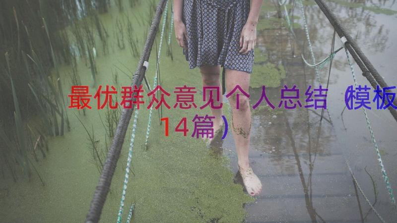 最优群众意见个人总结（模板14篇）