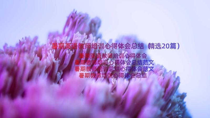 暑期英语教师培训心得体会总结（精选20篇）