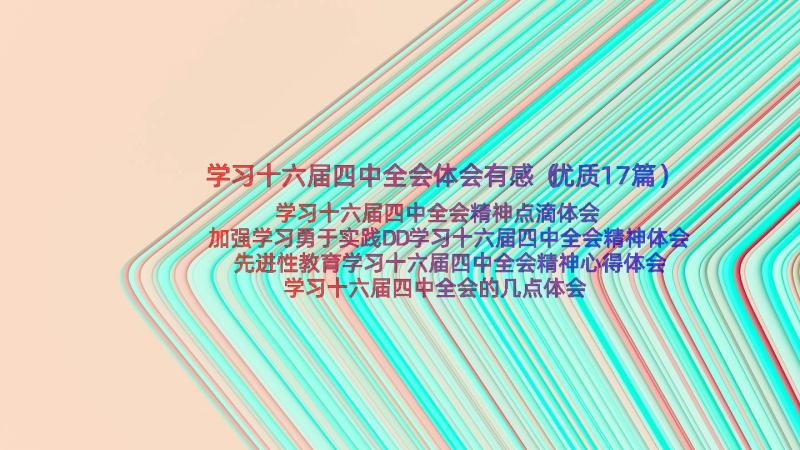 学习十六届四中全会体会有感（优质17篇）