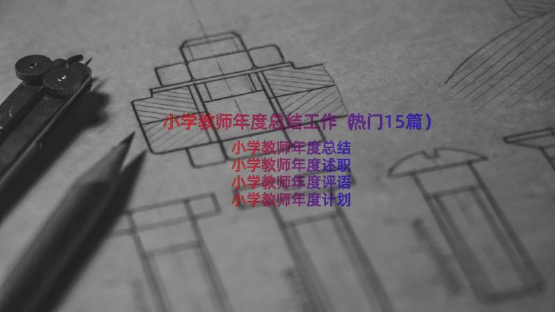 小学教师年度总结工作（热门15篇）