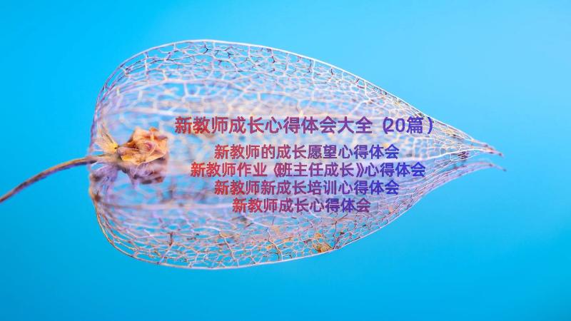 新教师成长心得体会大全（20篇）