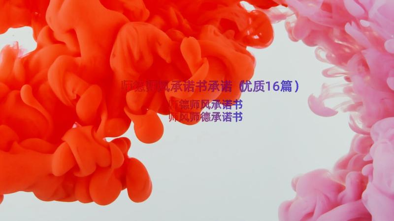 师德师风承诺书承诺（优质16篇）