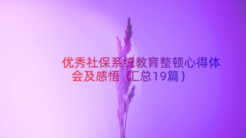 优秀社保系统教育整顿心得体会及感悟（汇总19篇）