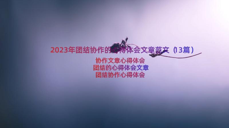 2023年团结协作的心得体会文章范文（13篇）