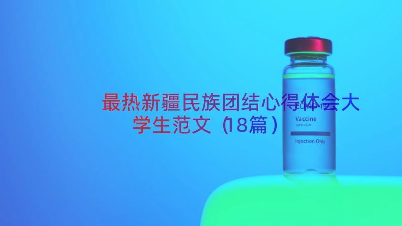 最热新疆民族团结心得体会大学生范文（18篇）