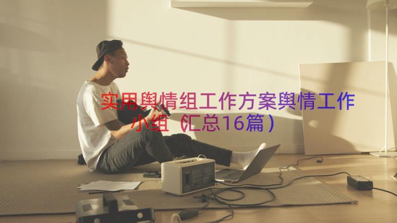 实用舆情组工作方案舆情工作小组（汇总16篇）