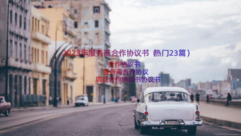 2023年服务商合作协议书（热门23篇）